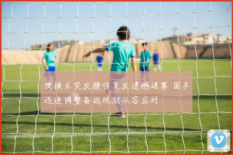 樊振东突发腰伤复发遗憾退赛 国乒迅速调整备战规划从容应对