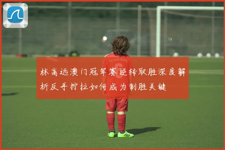 林高远澳门冠军赛逆转取胜深度解析反手拧拉如何成为制胜关键
