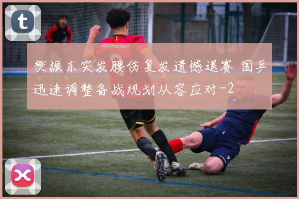 樊振东突发腰伤复发遗憾退赛 国乒迅速调整备战规划从容应对
