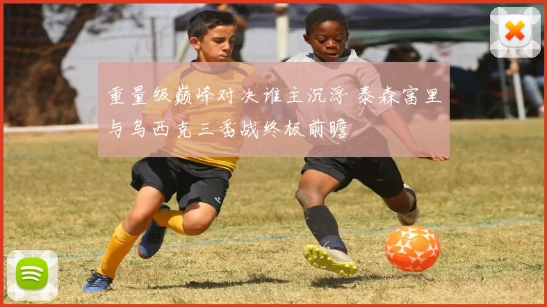 重量级巅峰对决谁主沉浮 泰森富里与乌西克三番战终极前瞻